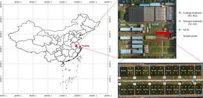 Retrieving rice (Oryza sativa L.) net photosynthetic rate from UAV multispectral images based on machine learning methods